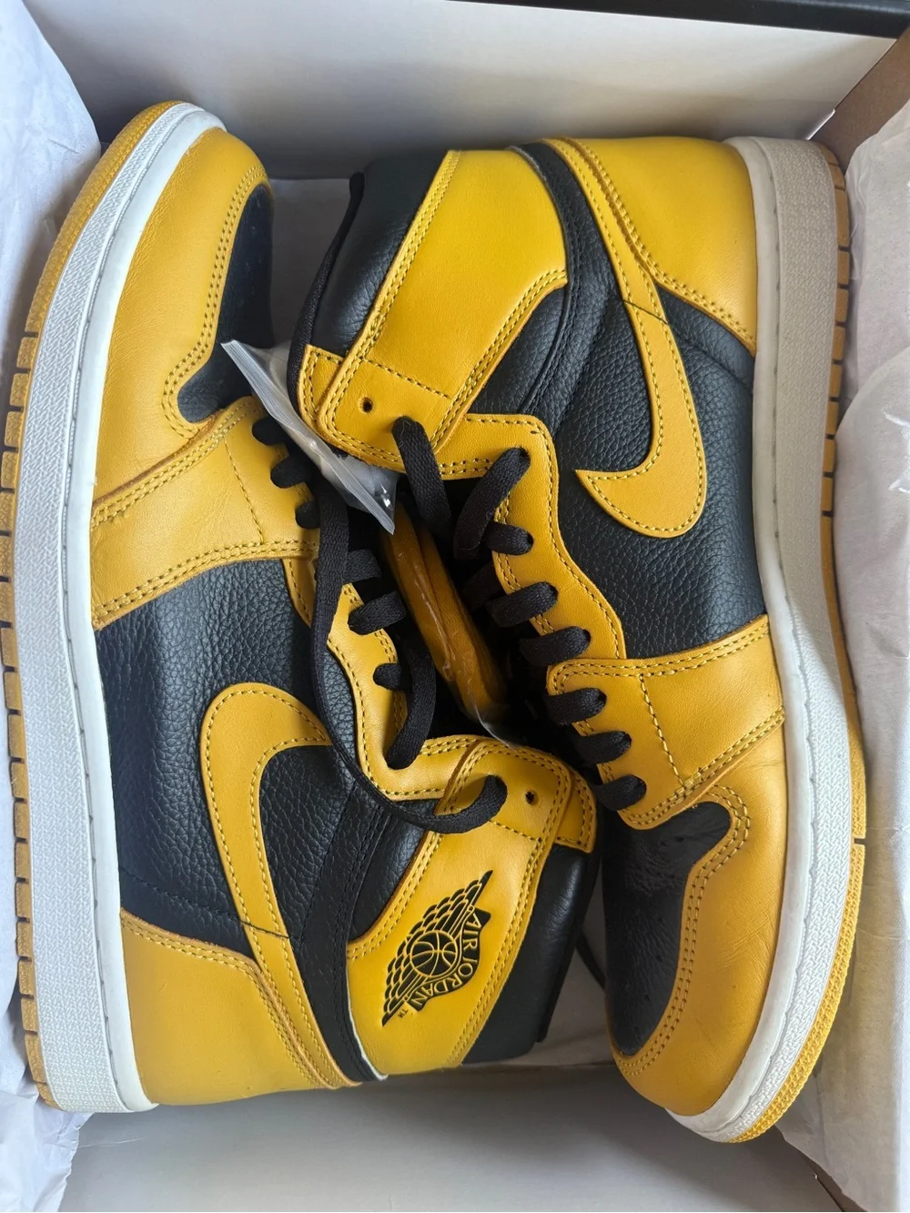 Air Jordan 1 Pollen